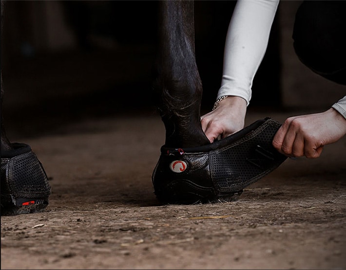 Putting on Cavallo hoof boots, essential equine gear for horse care and protection.