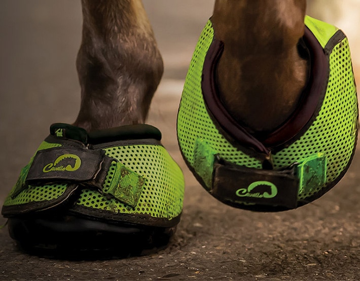 Horse wearing neon green Cavallo hoof boots for trail riding comfort and protection.