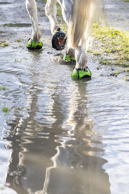 Horse wearing Cavallo hoof boots walking through water, showcasing durable and waterproof equine gear for hoof protection.