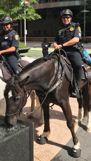 Mounted Police Units with Horses use Cavallo Hoof Boots for traction, protection, and comfort.