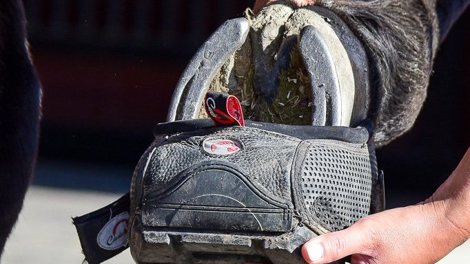 Cavallo Hoof Boots for Horses with shoes and shod horses