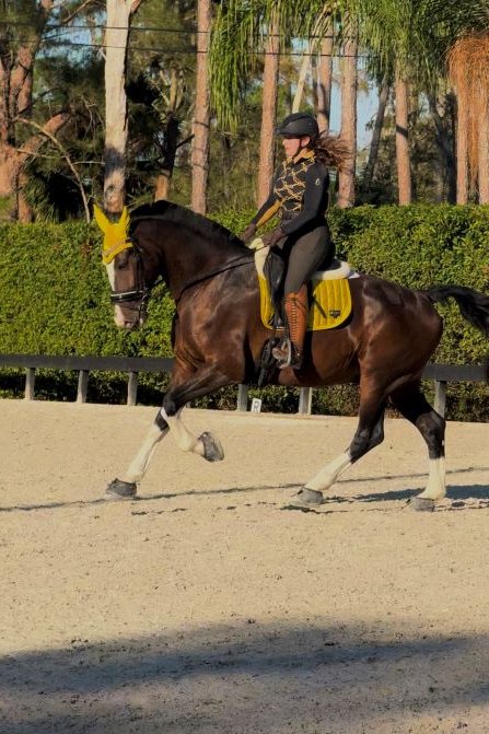 Cavallo Hoof Boots for High Level Dressage 