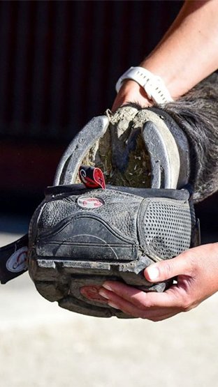 Cavallo Hoof Boots for Shod Horses and use Over Shoes 