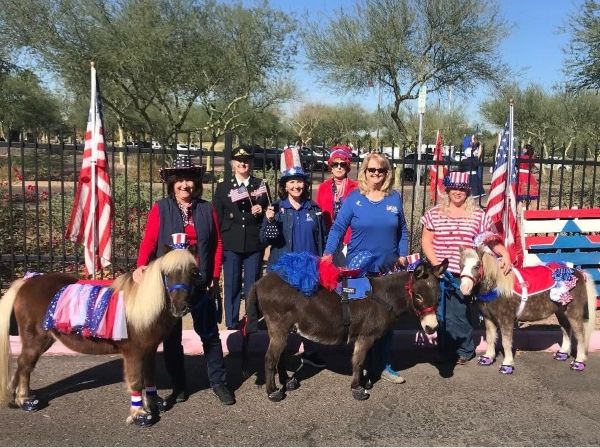 CLB mini hoof boots Terry Holmes-Stecyk, Tender Little Hearts mini horse therapy