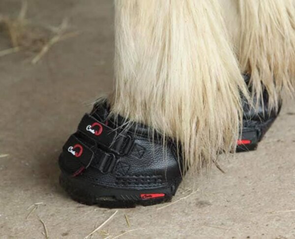 Cavallo Black Simple Hoof Boots with Feathers