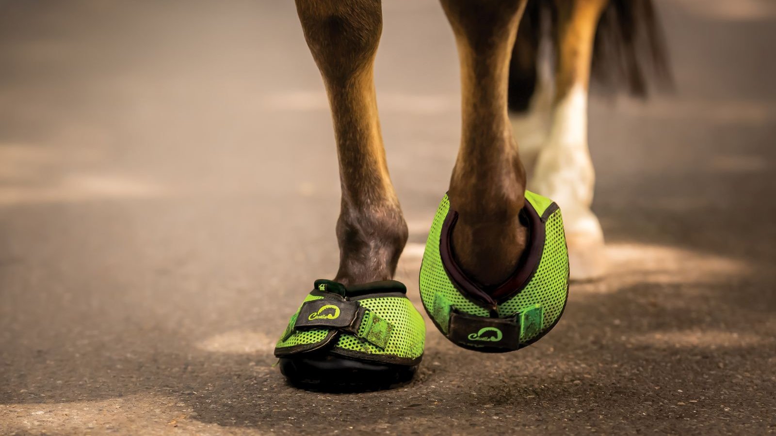 Cavallo Green Horse Trek Hoof Boots for therapy, rehab, jumping, dressage, and more 