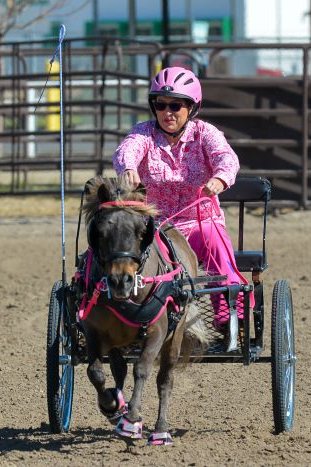 Cavallo CLB Cute Little Boots for Mini horses and ponies, great for driving, gymkhanas, therapy, and laminitis rehab 