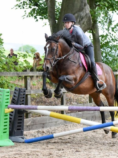 Cavallo Hoof Boots for Jumping and Eventing 