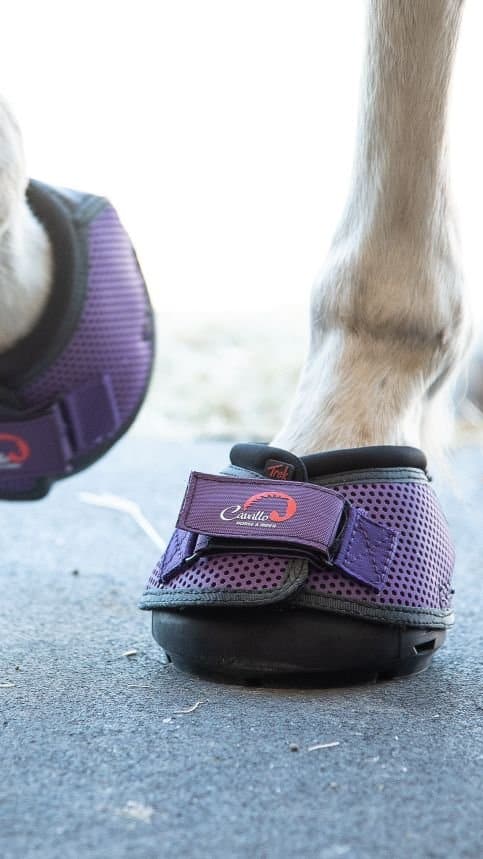 Horse shoes for Navicular rehab, recovery, comfort, and riding 