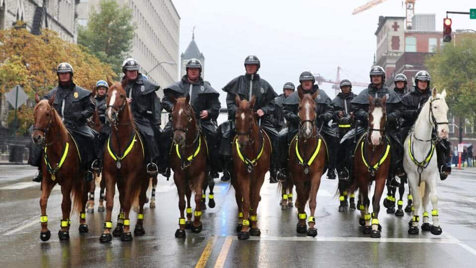 Cavallo Hoof Boots for Mounted Patrol and Police Units provide protection and support, enchaining grip and comfort all day long. 