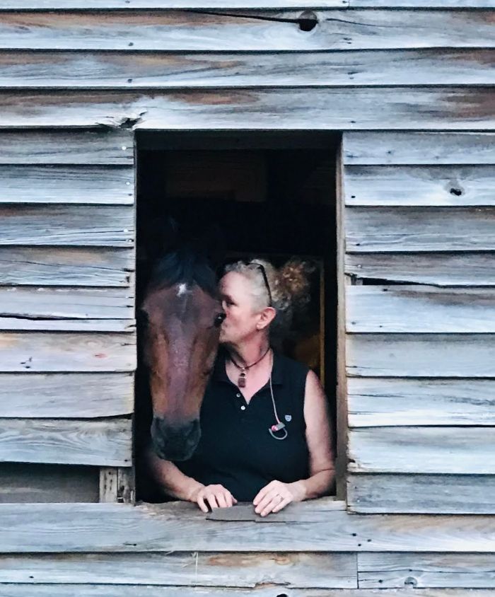 Hoof boots provided unmatched support and comfort for older, arthritic horses.