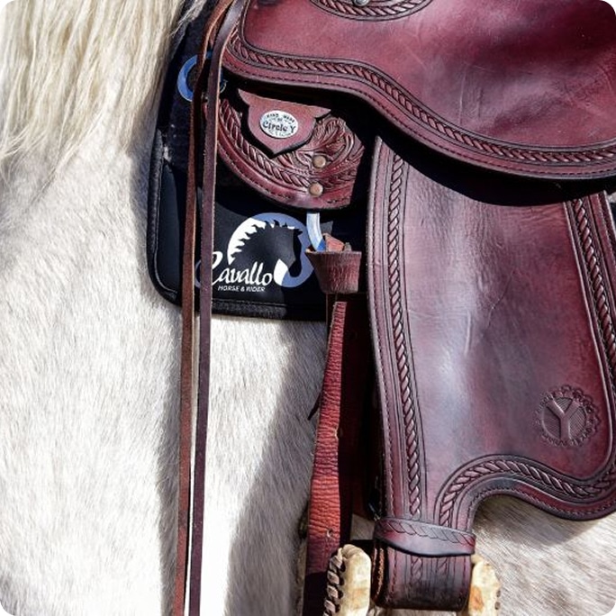 Cavallo horse saddle pad detail with Circle Y saddle, equine gear for comfort and protection.