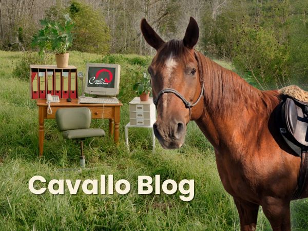 Cavallo Hoof Boots Blog image - website