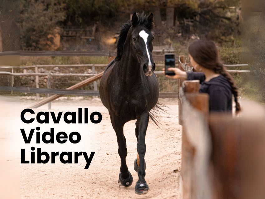 Cavallo Hoof Boots Video Library - website image