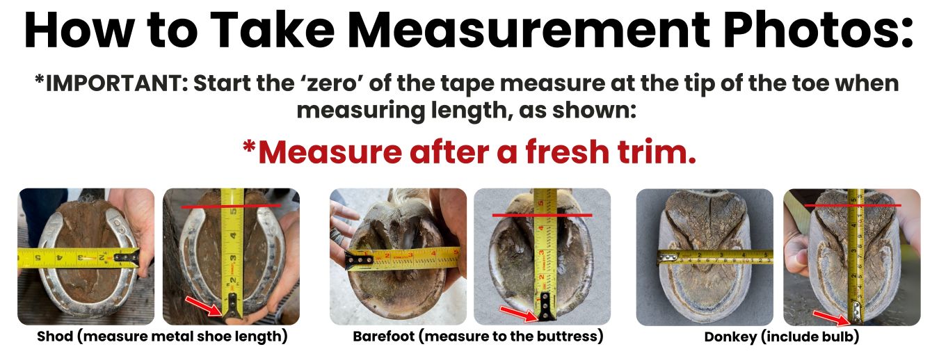 How to measure Cavallo Hoof Boots - donkey, barefoot & Shod horses
