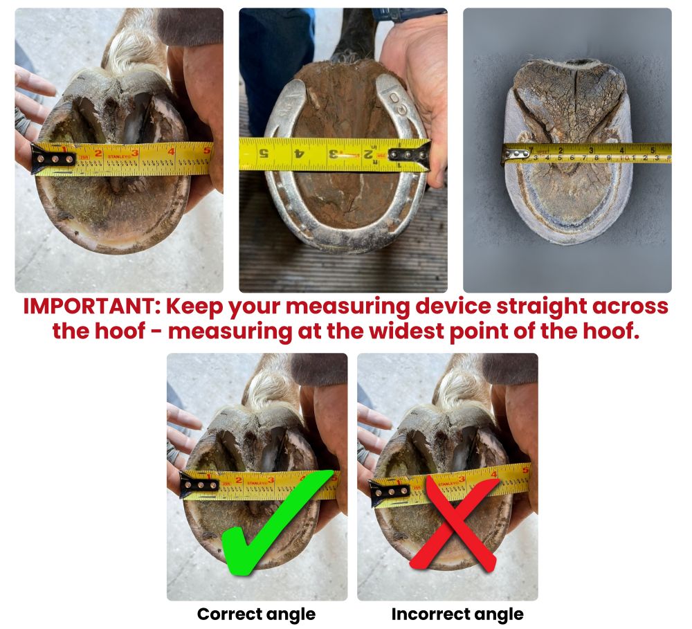 Measuring Width image - for Cavallo Hoof Boots - new site