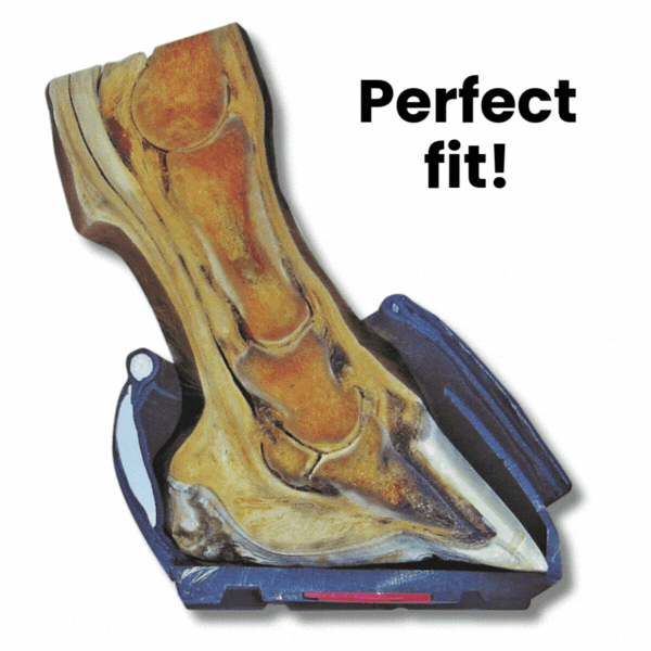 “Cavallo hoof boots showcasing perfect fit for equine hoof anatomy, optimal horse care and comfort.”