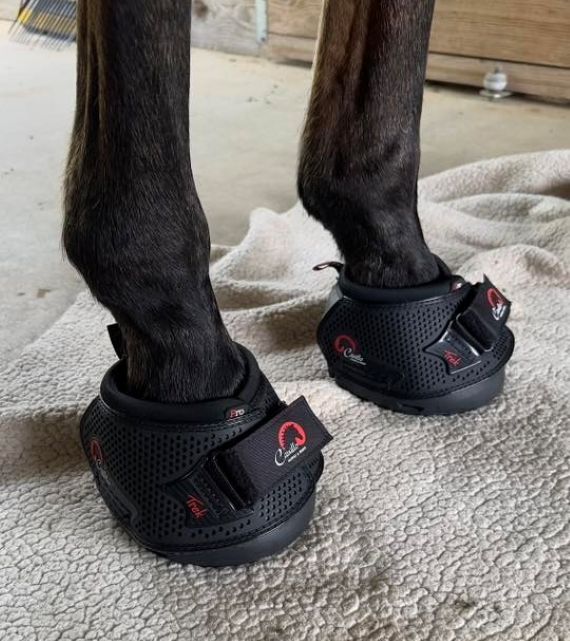 Cavallo Trek PRO Hoof Boots for overreaching