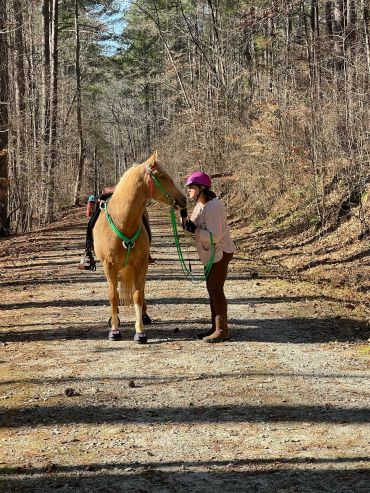 comfort and protection for sore hooves