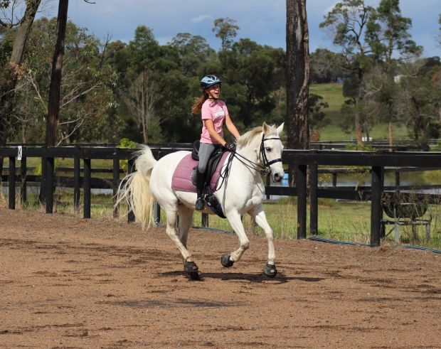 Cavallo hoof boots for arena riding and dressage training