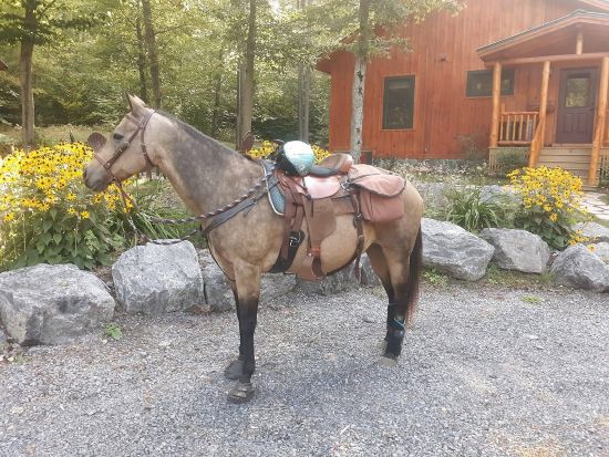 trail and arena rides with cavallo equine hoof boots