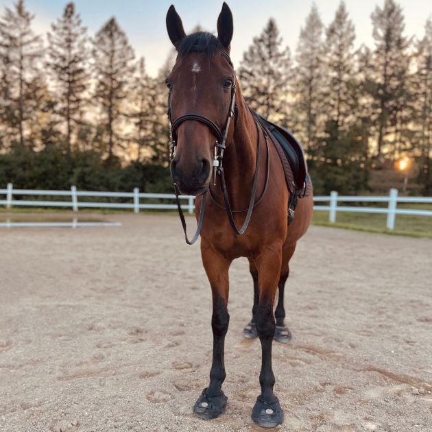 Protection and comfort for thin soles