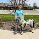 Increased grip and traction for therapy and service ponies