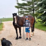 Increased comfort and shock absorption for draft horses with cavallo hoof boots