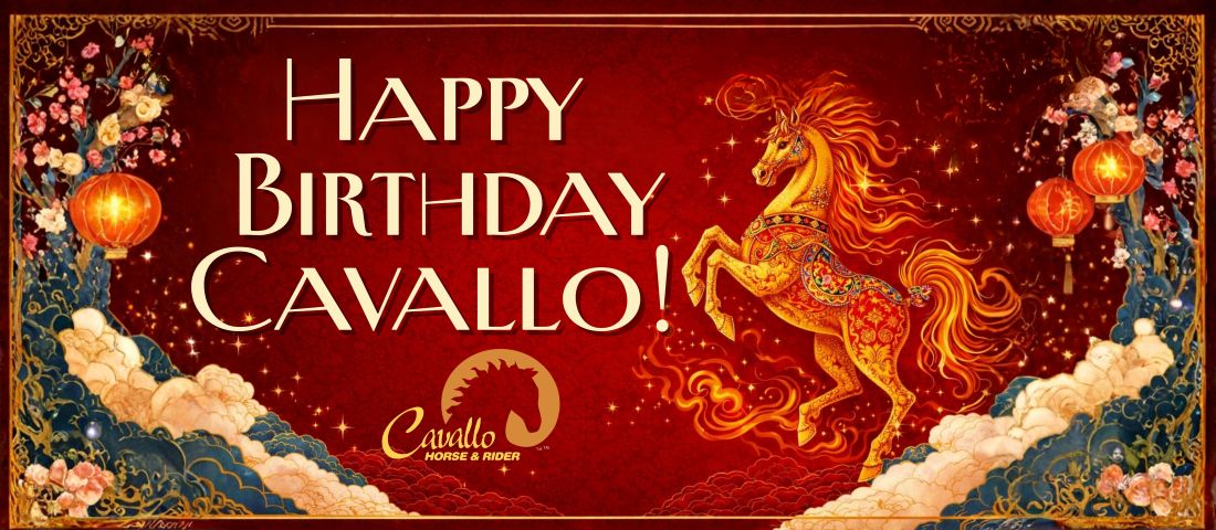 Happy 20th Birthday Cavallo hoof boots - year of the fire horse