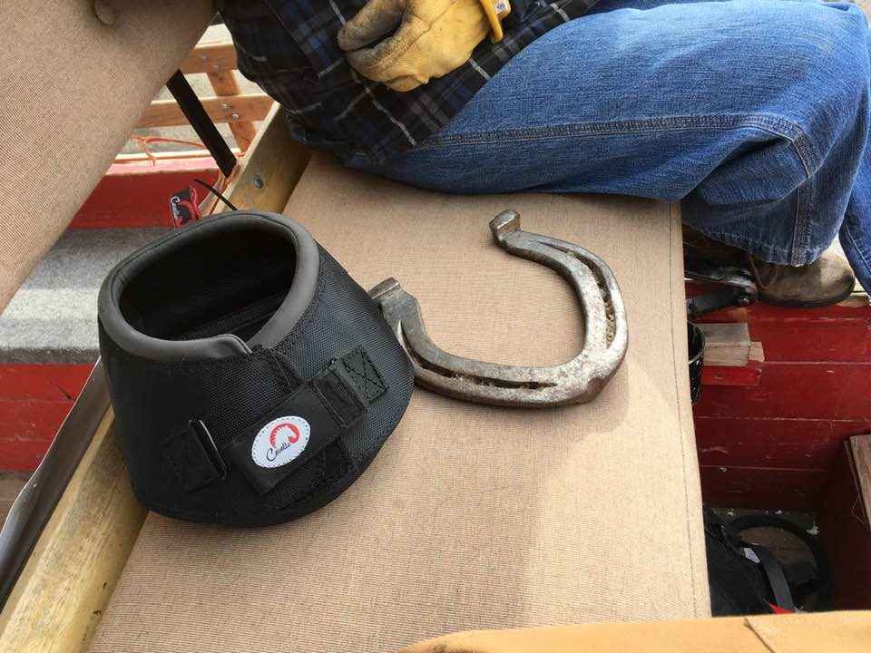 Metal horseshoe vs. Cavallo BFB Hoof Boot - Connie Challice