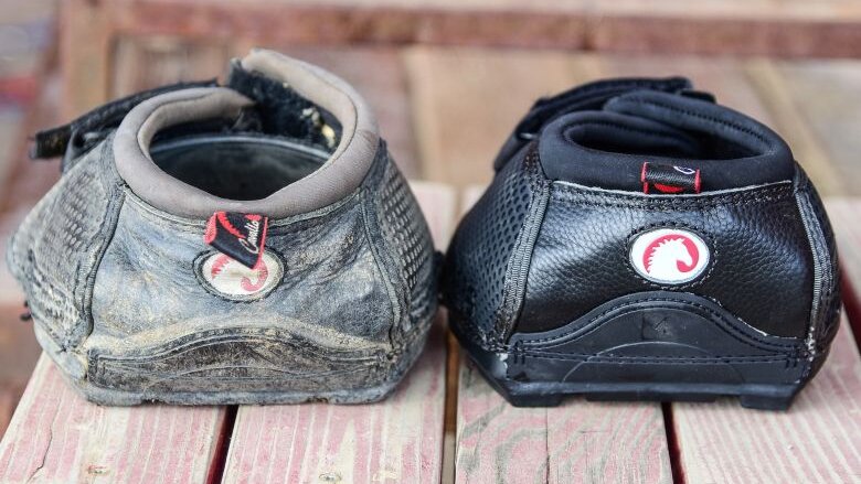 Old vs New Cavallo Trek Horse Hoof Boot when to replace old boots