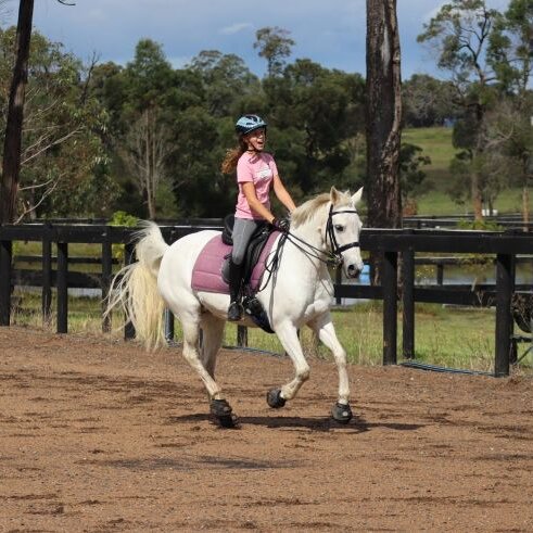 Cavallo hoof boots for arena riding and dressage training