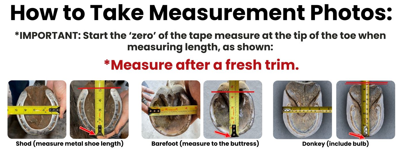How to measure for Cavallo Horse donkey hoof boots