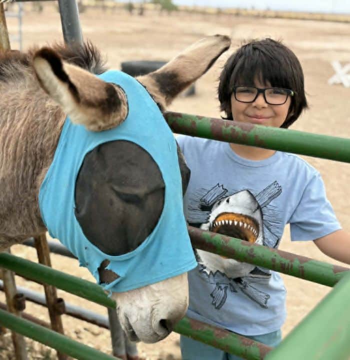 Aquaman Donkey Rescued from Canal w LEB Hoof Boots with boy