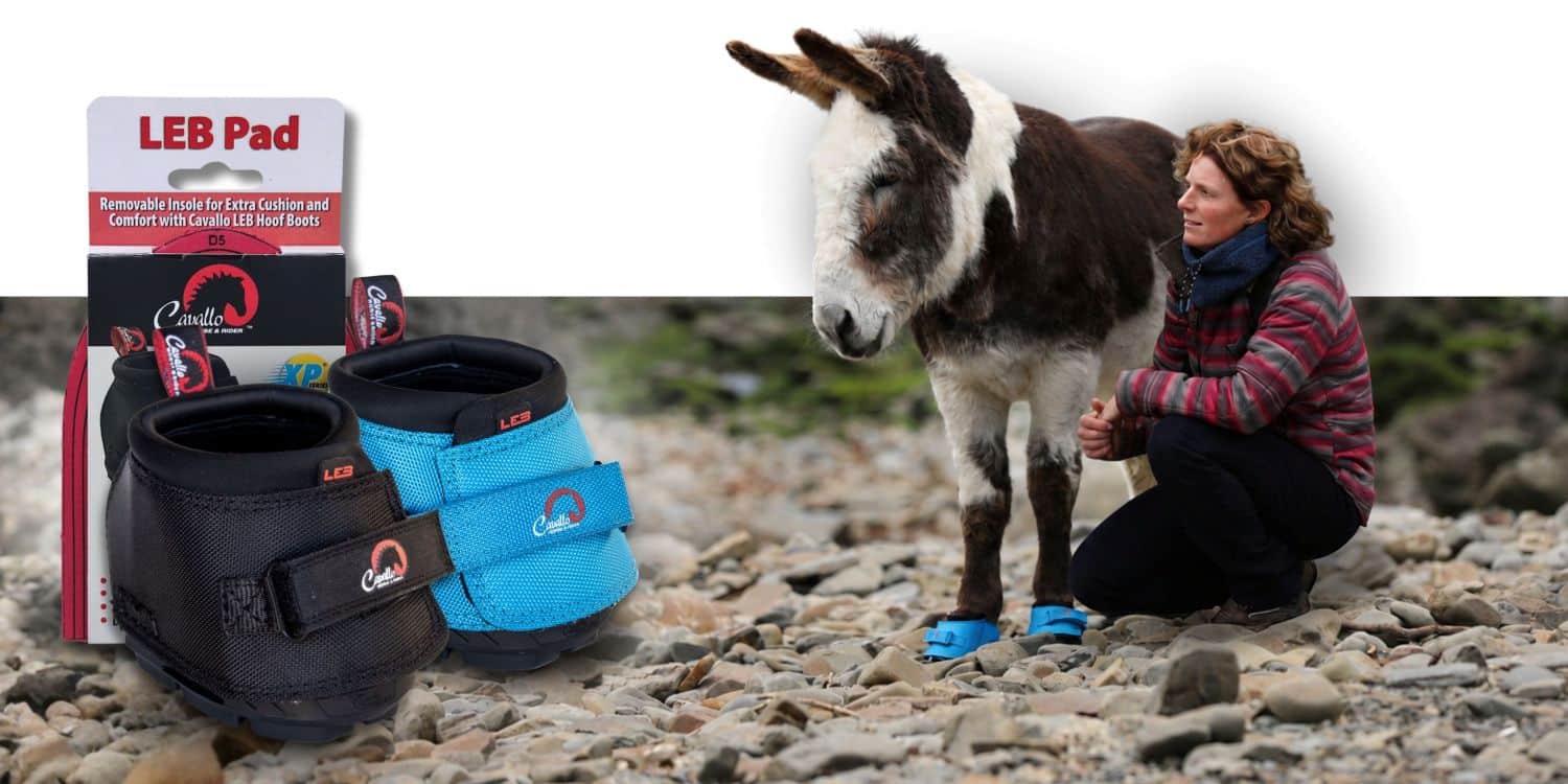 Emma Massingale & donkey Miguel with Cavallo LEB hoof boots