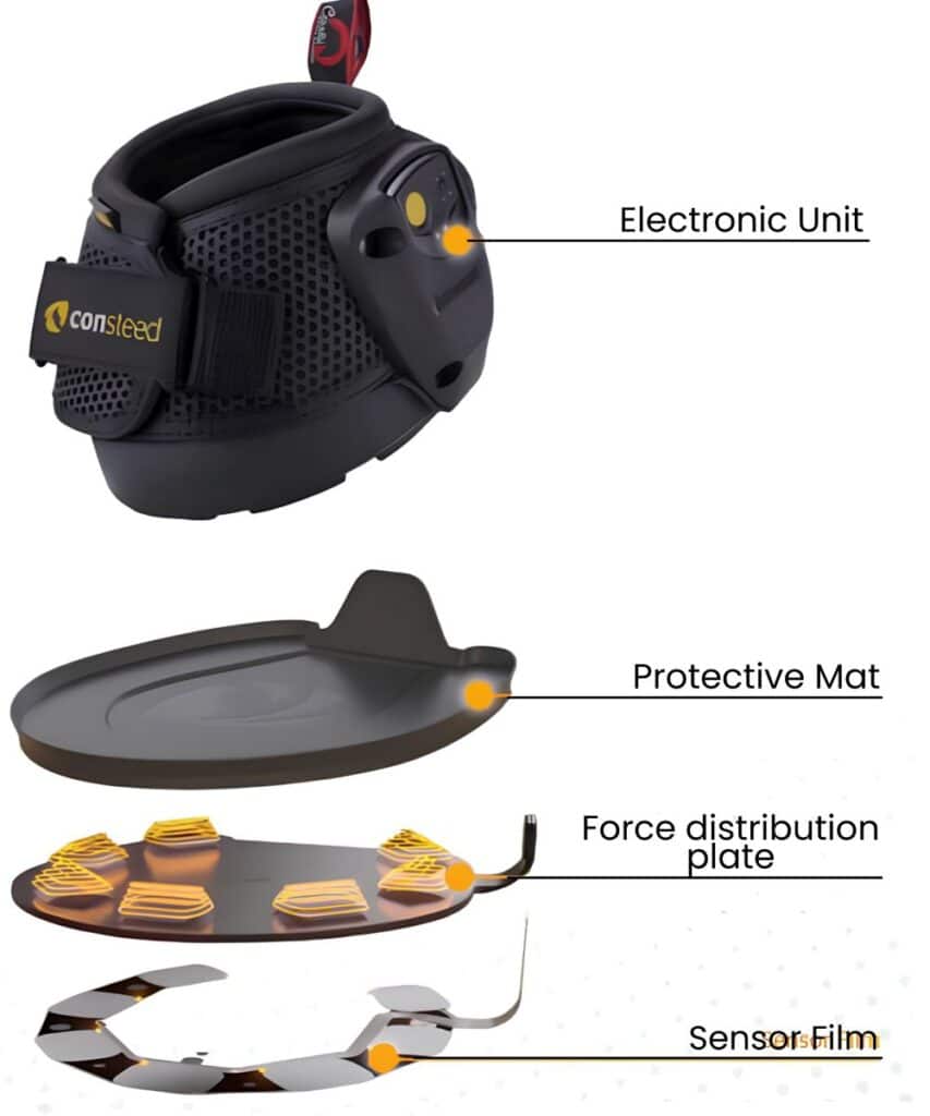 consteed sole layers: electronic unit, protective mat, force distribution plate, sensor film