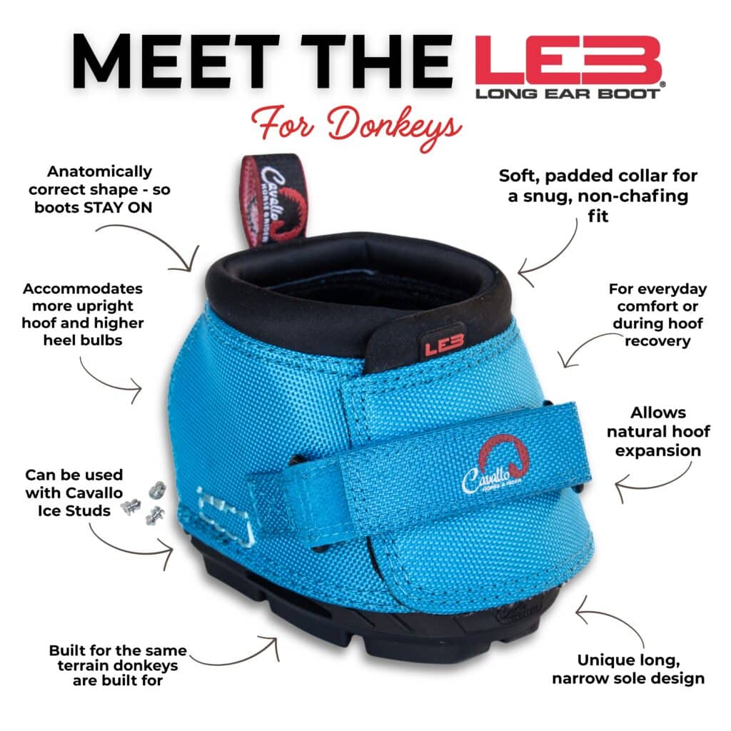 Meet the Cavallo LEB Donkey Hoof Boots - main features