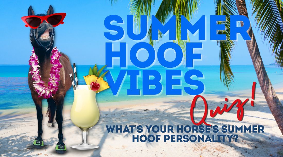Cavallo Hoof Boots Summer Hoof Vibes Quiz