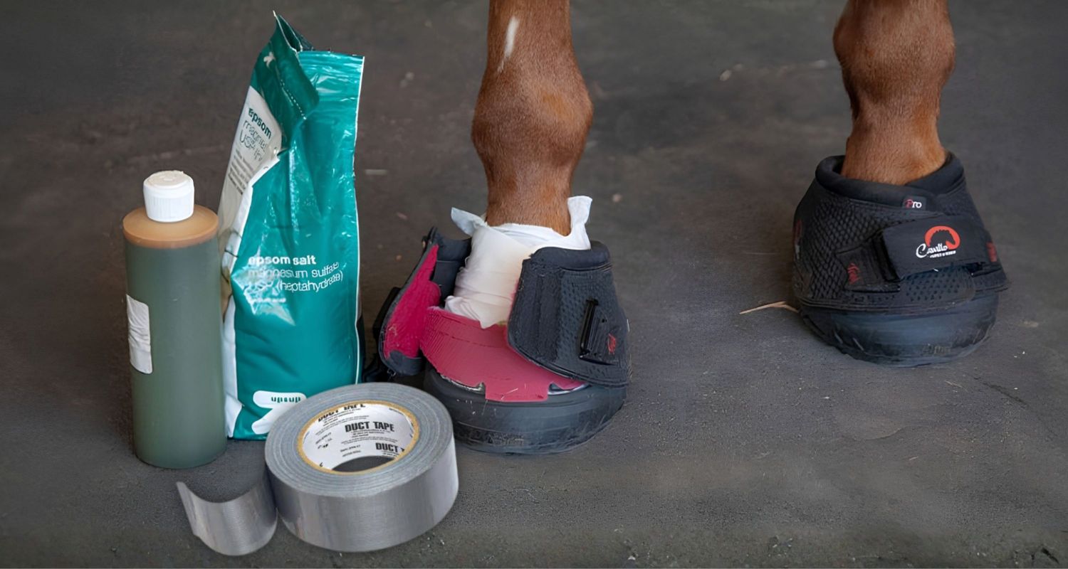 Cavallo Hoof Boots soaking rehab duct tape