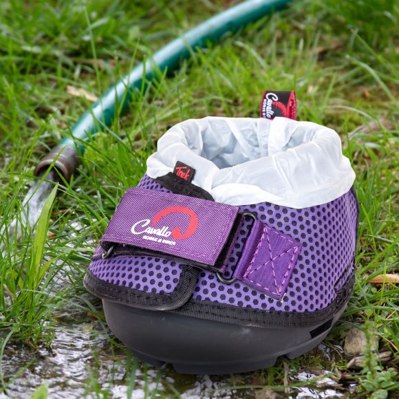 Purple Trek & Hose - soaking hoof boot...