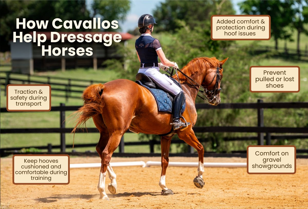 Cavallo Hoof Boots Good for Dressage Horses