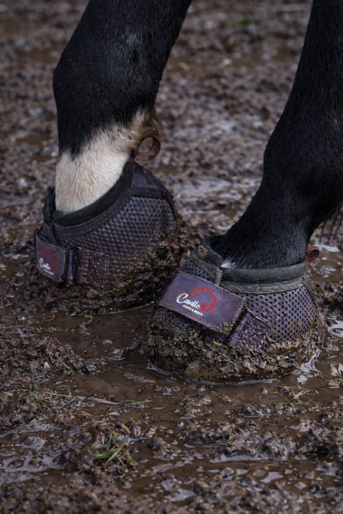 Cavallo Purple Trek Hoof Boots in muddy yard