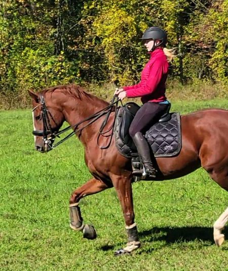 Indre Malaiskaite - Dressage Grand Prix OTTB - Cavallo Simple boots