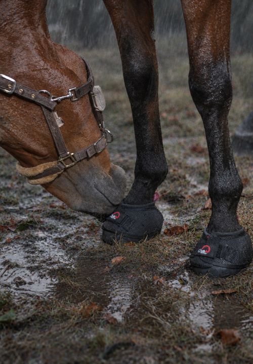 Trek Hoof Boot in Rain - No-Mad Expedition 