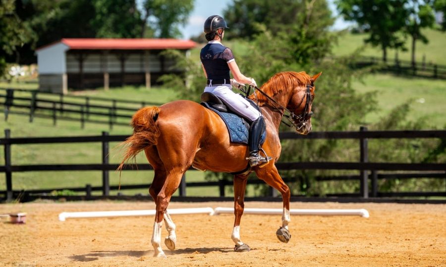 Cavallo Hoof Boots great for dressage on gravel show grounds