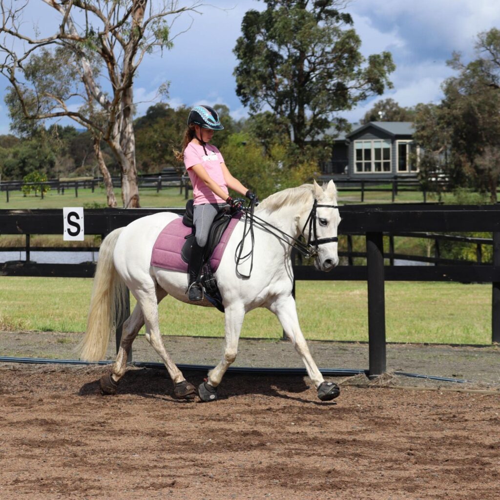 A rider on a white horse working in a dressage arena