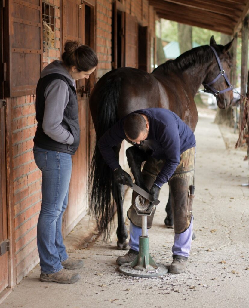 A trimmer and a bay horse in a stable aisle, a woman holding the horse